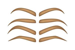 Set of Eyebrow shapes on white background vector