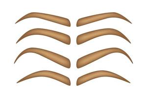 Set of Eyebrow shapes on white background vector