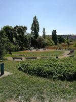 un grupo de personas en un parque foto