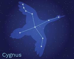 Cygnus swan constellation vector sign with animal silhouette.  The constellation of Cygnus with bright stars. A constellation on a blue background of the cosmic sky.