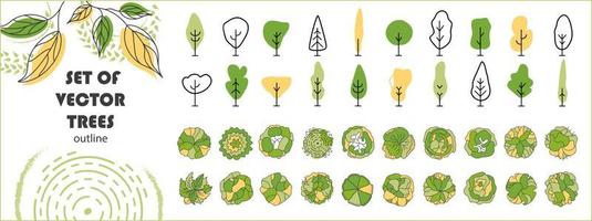 árbol para planos arquitectónicos. diseño de séquito. varios árboles, arbustos y arbustos, vista superior para el plan de diseño del paisaje. ilustración vectorial vector