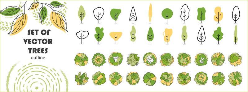Tree for architectural floor plans. Entourage design. Various trees, bushes, and shrubs, top view for the landscape design plan. Vector illustration.