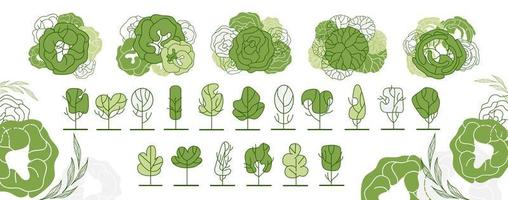 Tree for architectural floor plans. Entourage design. Various trees, bushes, and shrubs, top view for the landscape design plan. Vector illustration.