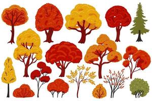 Autumn trees and bushes isolated on white background. Vector graphics.