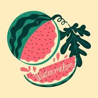 Watermelon half, watermelon slice and leaf. Vector graphics.