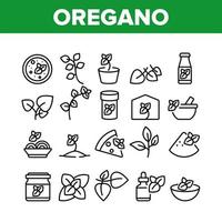 Oregano Herbal Plant Collection Icons Set Vector