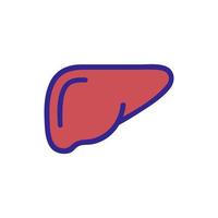 liver icon vector. Isolated contour symbol illustration vector