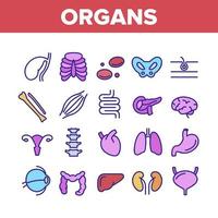 conjunto de iconos de colección anatómica de órganos vector