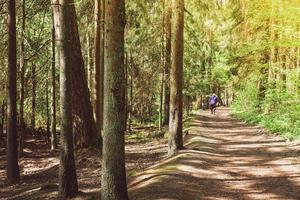 Back view woman on forest trail road walk with nordic sticks in forest surrounded with trees. Texture and nature well-being concept background photo