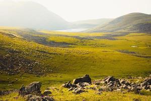 Panorama sunny day in caucasus mountains with flock of sheep in wilderness and Levani lake background photo