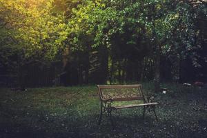 A couple bench isolated in nature in moody fantasy atmospheric nature outdoors. Grief and solitude concept background photo