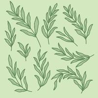 set collection of hand drawing aesthetic rustic leaves branch with line texture outline art vector