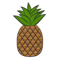 Pineapple fruit in a linear style. Colorful vector decorative element, drawn by hand.