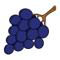 grape,berry in a linear style. Colorful vector decorative element, drawn by hand.