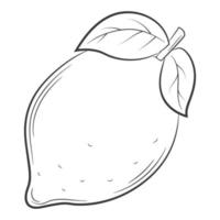 limón, fruta en un estilo lineal. elemento decorativo vectorial en blanco y negro, dibujado a mano.aislado sobre fondo blanco. vector