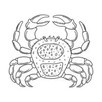 Sketch of a Crab. Marine arthropod animal, hand-drawn doodle design element. Simple contour black and white vector illustration. Isolated on a white background. Doodle style