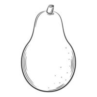 Avocado. A vegetable in a linear style, drawn by hand. Food ingredient, design element.Lineart. Black and white vector illustration. Isolated on a white background