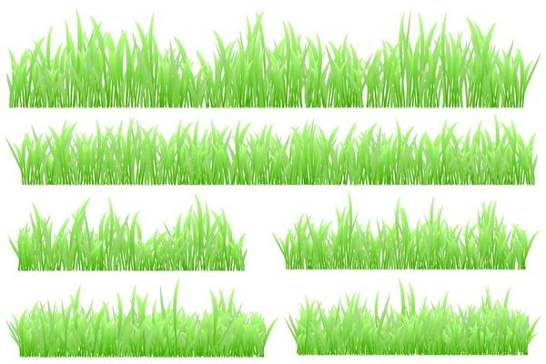 green grass. meadow grass. realistic grass vector