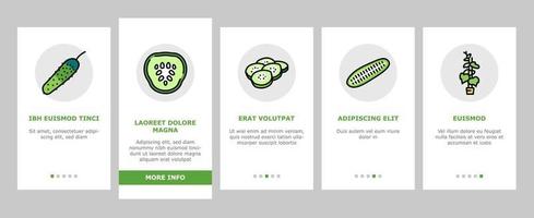 Cucumber Natural Bio Vegetable Onboarding Icons Set Vector