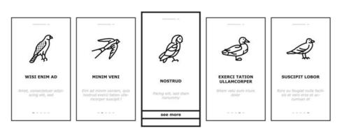 vector de conjunto de iconos de incorporación de pájaros animales voladores con plumas