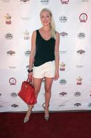 LOS ANGELES, AUG 15 - Katherine Heigl at the Saved In America Red Carpet Screening at the Regency Agoura Hills Stadium 8 on August 15, 2015 in Agoura Hills, CA photo