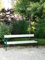 An empty park bench sitting in front of a tree photo