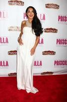 LOS ANGELES, MAY 29 - Saye Yabandeh arrives at the Priscilla Queen of the Desert Play Opening at the Pantages Theater on May 29, 2013 in Los Angeles, CA photo