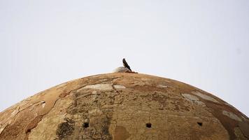 Delhi hauz khas complex General view of Firoz Shah's Tomb, photo