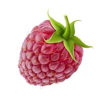 Raspberry isolated on white background photo