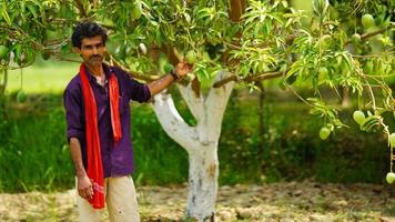 indian farmer with mango tree in the farm photo