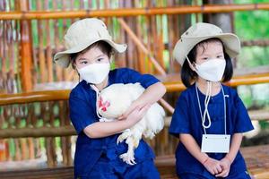 Portrait image children 5-6 year old. Little kindergarten student is sitting holding fluffy white chicken. Child learn to catch animals on open farms. Lessons outside the classroom. Kid wear face mask photo