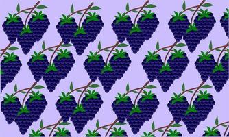 diseño moderno de patrón de fruta de mora vector