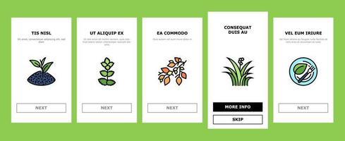 Leaf Branch Natural Foliage Tree Onboarding Icons Set Vector