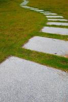 Landscape design. Grass with stone path. Walkway landscape with stone path, paving flagstone. View from above. photo