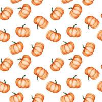 patrón sin costuras con calabazas acuarelas sobre un fondo blanco. lindo estampado sobre el tema del otoño, halloween, calabazas naranjas. verduras, cosecha de otoño. fondo para papel tapiz, tela, envoltura vector