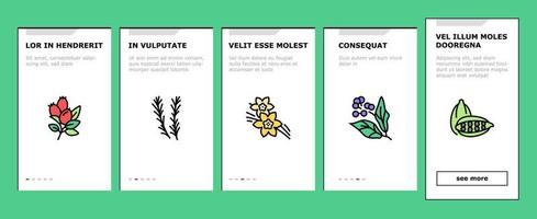 Aromatherapy Herbs Onboarding Icons Set Vector