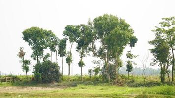 rural farm in village image photo