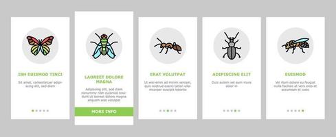 Insect, Spider And Bug Wildlife Onboarding Icons Set Vector