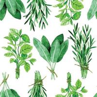 watercolor seamless pattern in vintage style. culinary herbs and spices on a white background. onion, basil, sage, rosemary mint vector