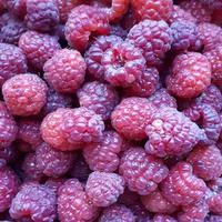 Photo with a lot of ripe red raspberries