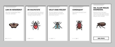 Insect, Spider And Bug Wildlife Onboarding Icons Set Vector