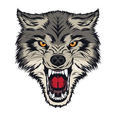 Angry Wolf Face in wonderful color, perfect for tshirt design and logo