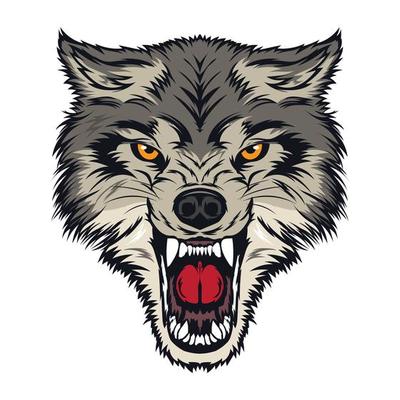 Wolf Vector Art, Icons, and Graphics for Free Download