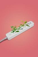 White extension with plants inside. Electrical power white strip or extension block with sockets on pink background. Close up. Eco concept. Alternative energy. Turn off electronics. photo