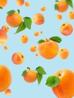 Falling apricot isolated on pastel blue background, selective focus. Apricots with leaves flying in the air. Summer fruit concept. photo