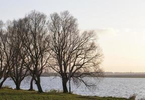 orilla del lago orilla árboles foto