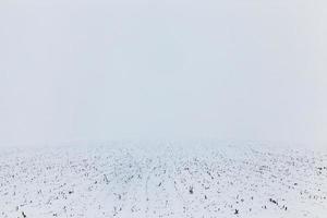 Snowdrifts in winter photo