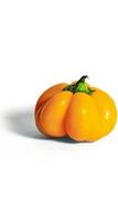 orange bell pepper on white background photo