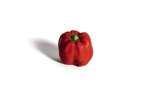 red bell pepper isolated on white background photo