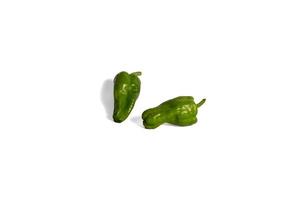 Green peppers white background photo